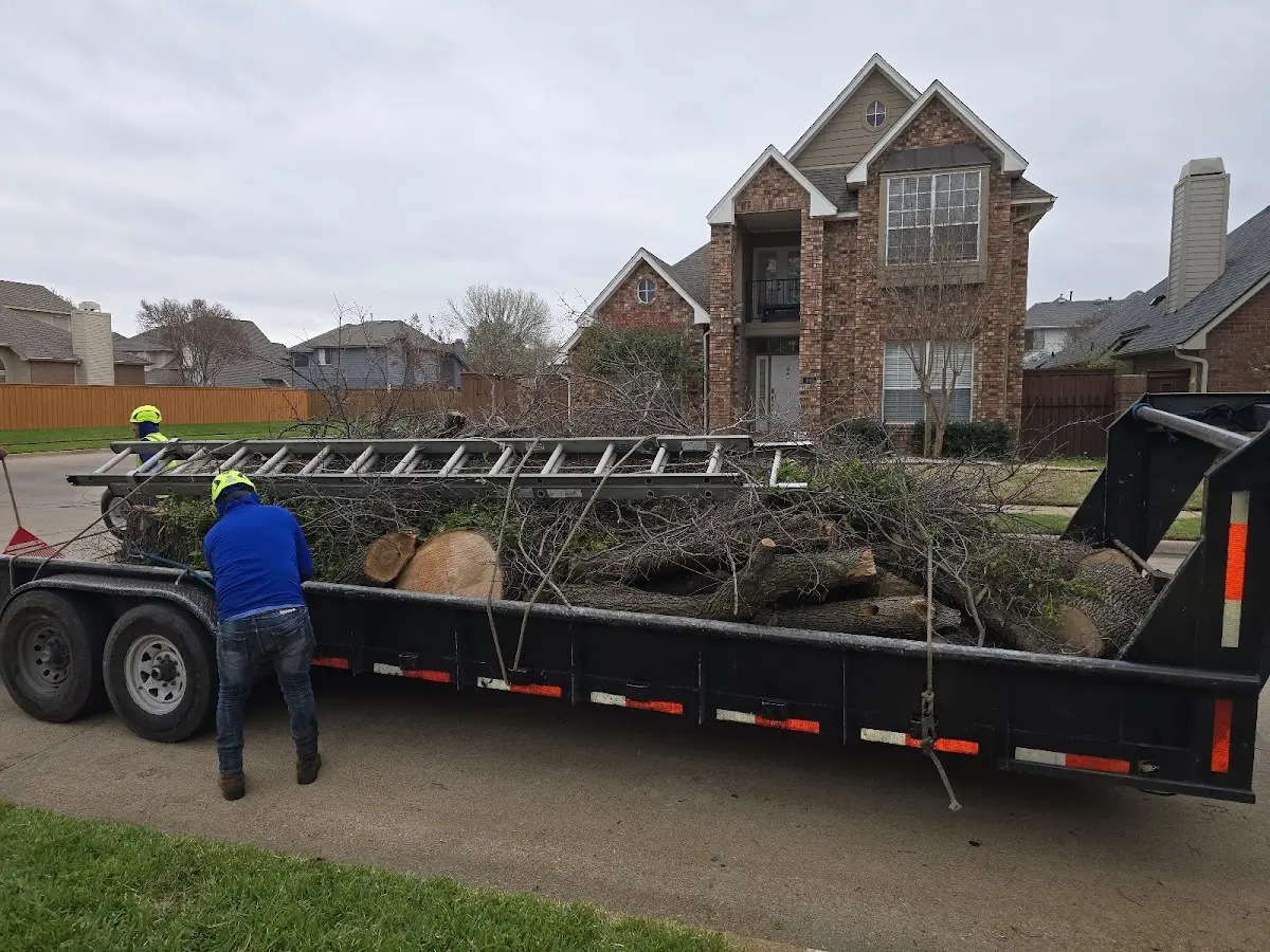 Expert Tree Fertilization with proper safety equipment in Oak Harbor